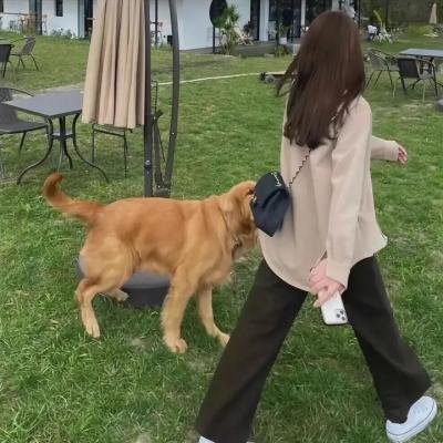 死亡竞走
